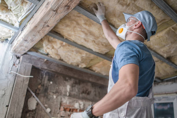 Best Insulation Removal Services  in Tawas City, MI
